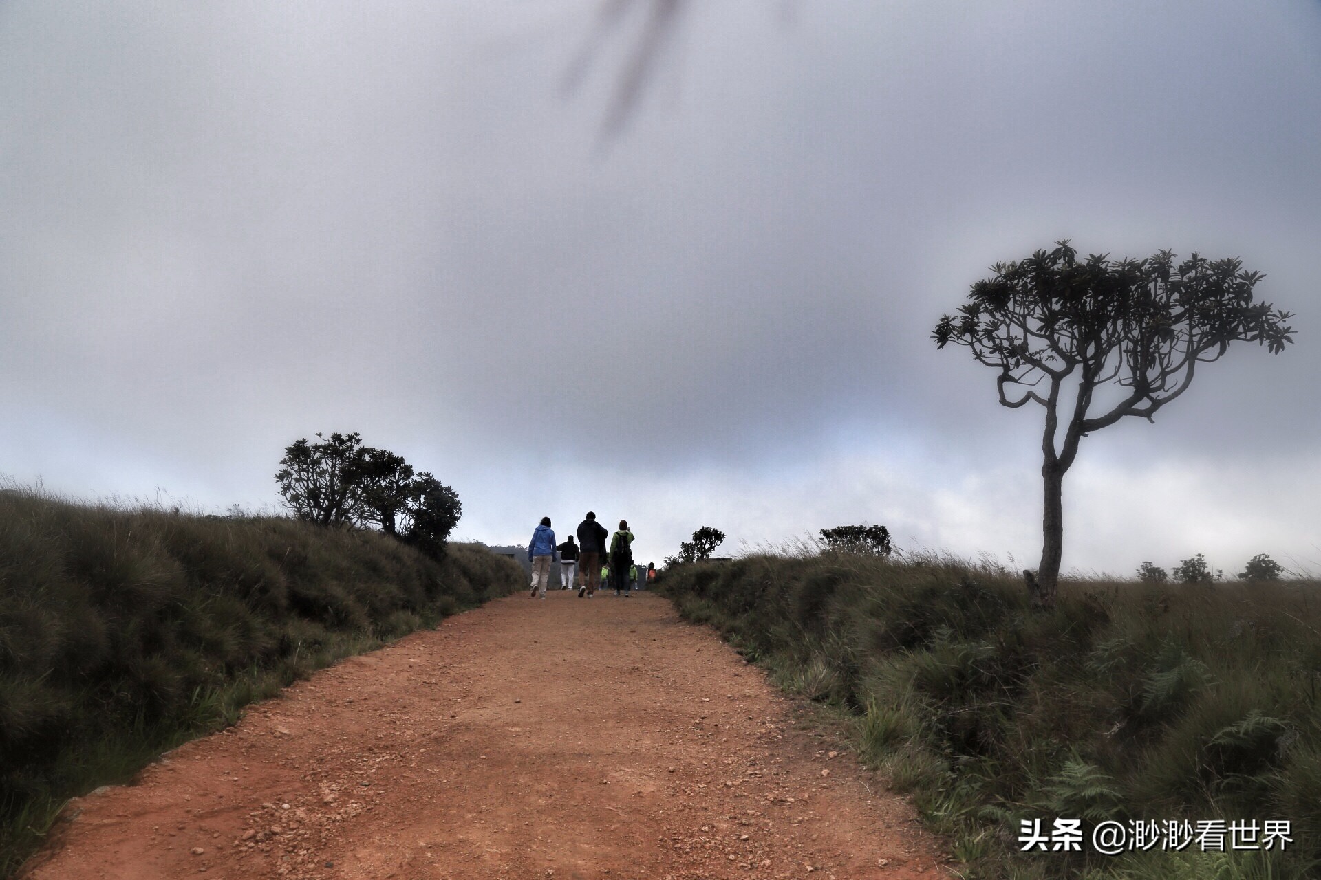 去斯里兰卡旅游攻略,1月去斯里兰卡旅游的最佳攻略