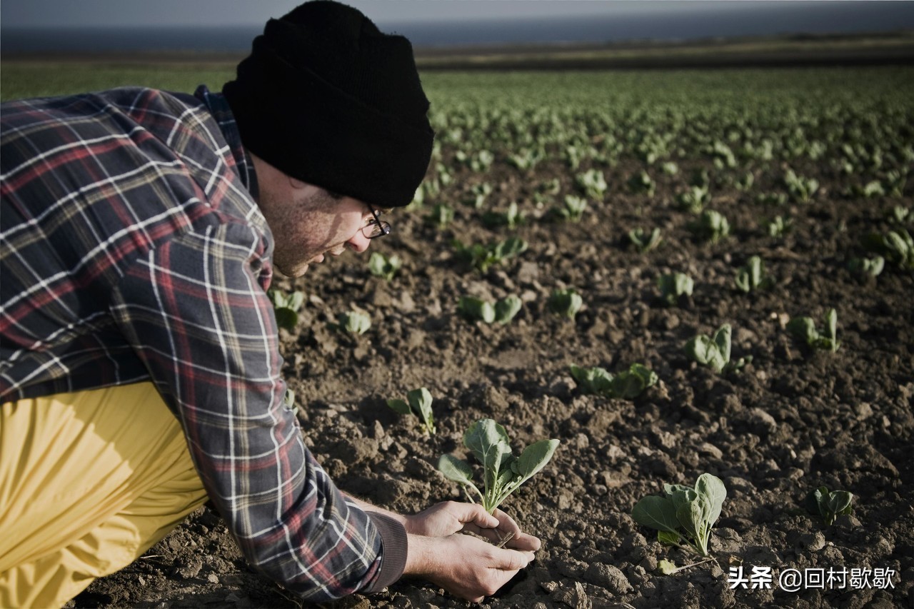 当好农民种好地,做一个农民的条件