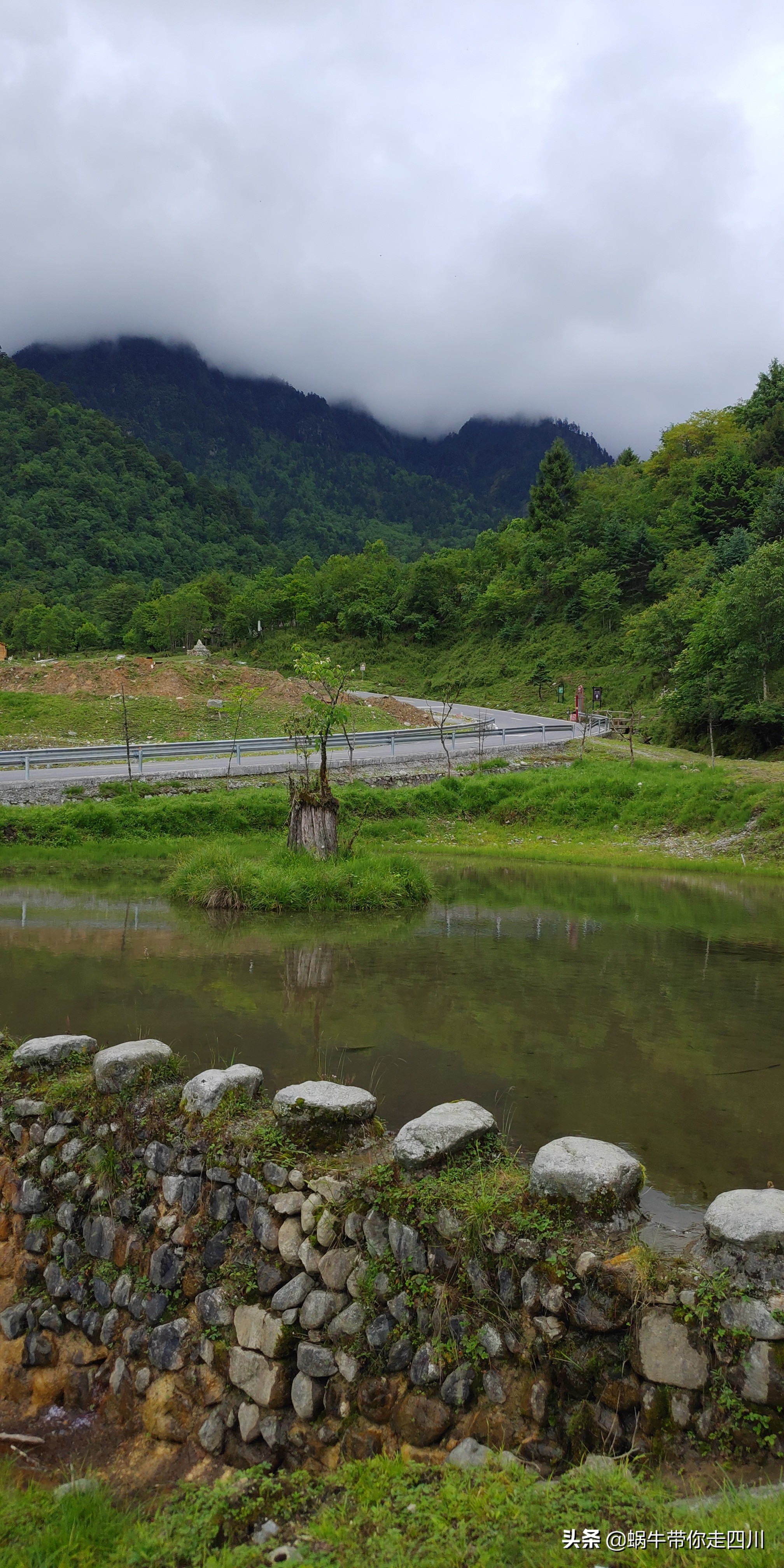 带小朋友出去看小动物,带小孩去海洋动物园