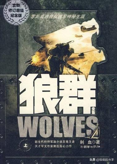 网络文学的十大开山流派小说,网络小说各大流派四大名著