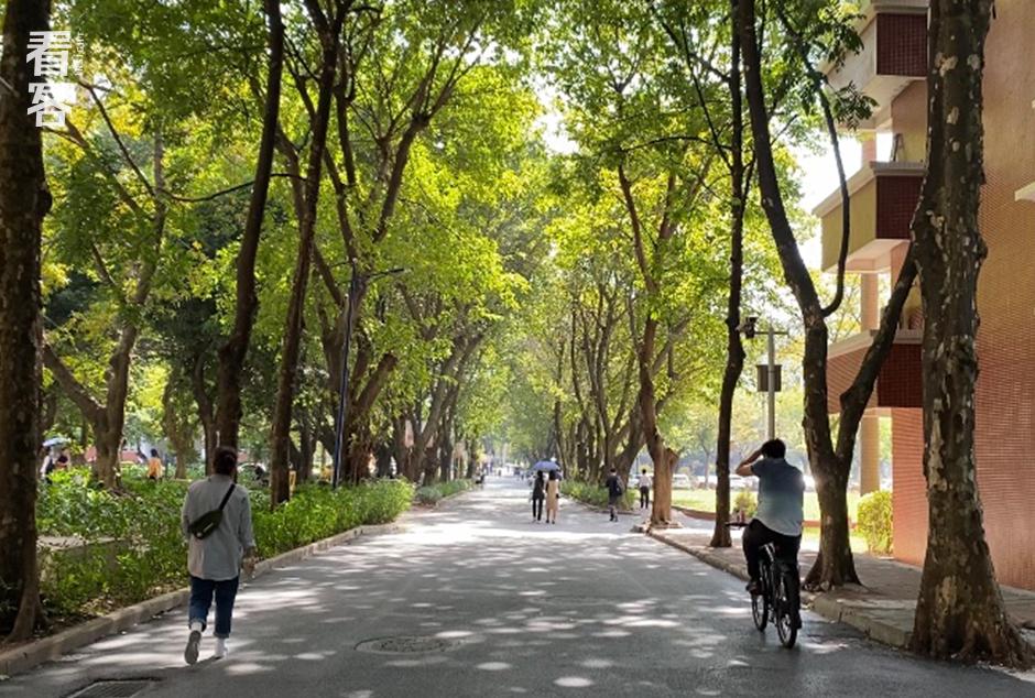 性教育卫生巾,性卫生教育