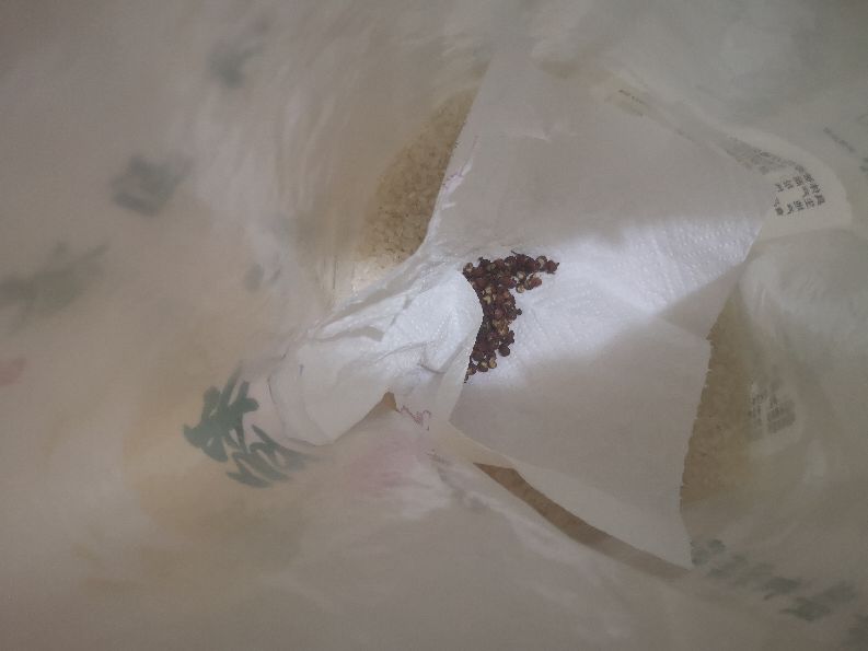 大米的米虫子怎么去除,大米有蛀米虫怎么办