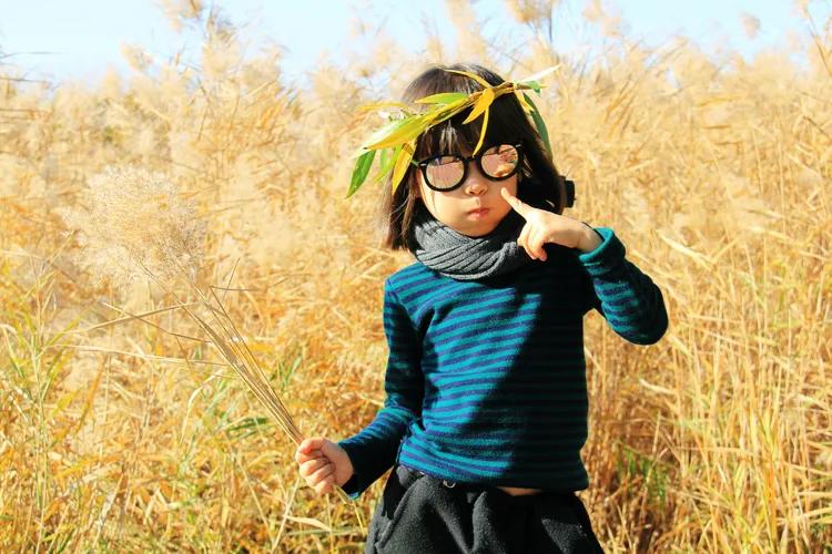 尼康入门单反,单反快速入门攻略