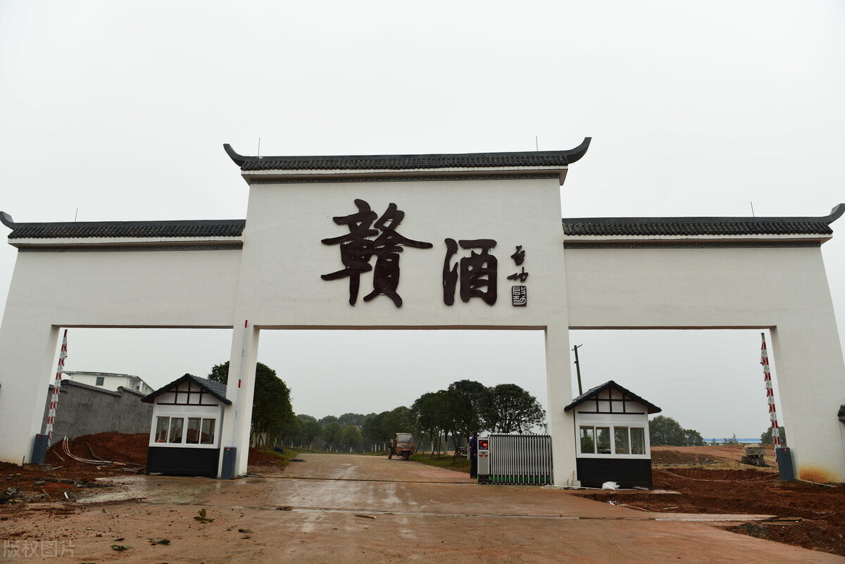 江西老牌酒有哪些,江西酒十大排名