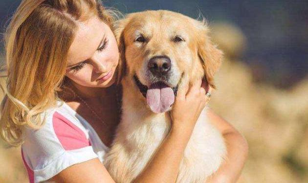 如何给狗狗按摩让狗狗感觉舒服,怎么按摩狗狗让狗狗喜欢你