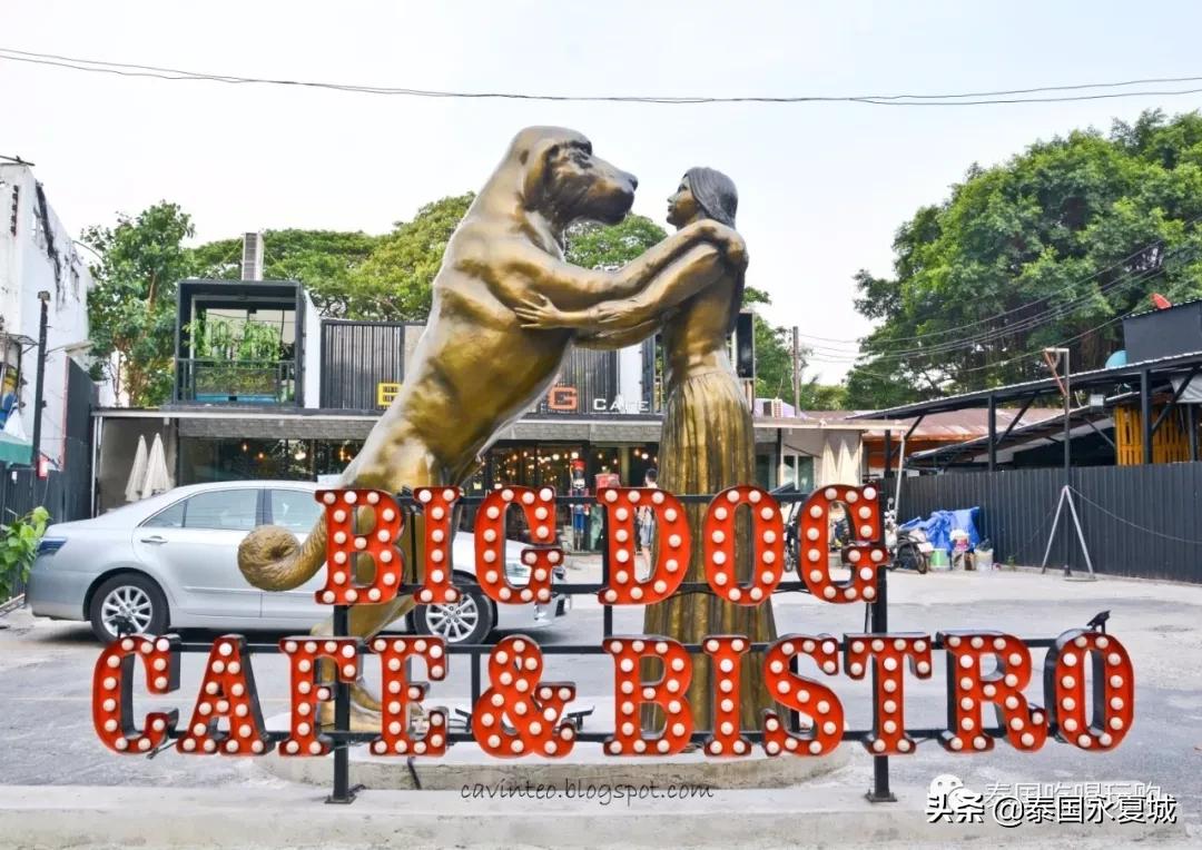 曼谷BigDogCafe|想把每一只狗狗偷偷打包带回家！