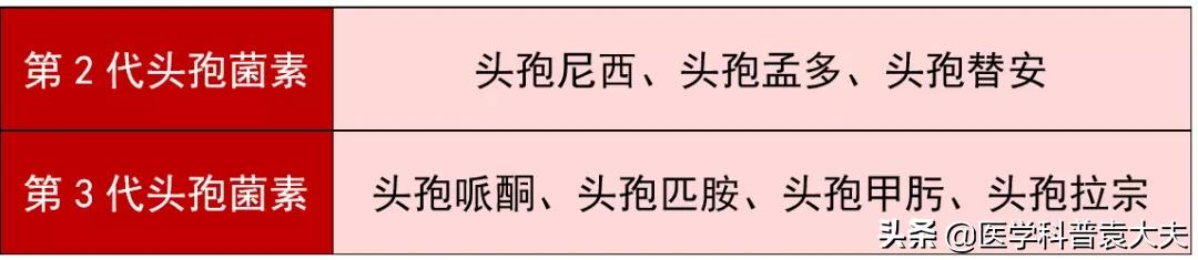 澶村绗洓浠ｅ拰绗簲浠ｇ殑鍖哄埆,绗簲浠ｅご瀛㈡湁鍝嚑绉嶅彛鏈嶈嵂