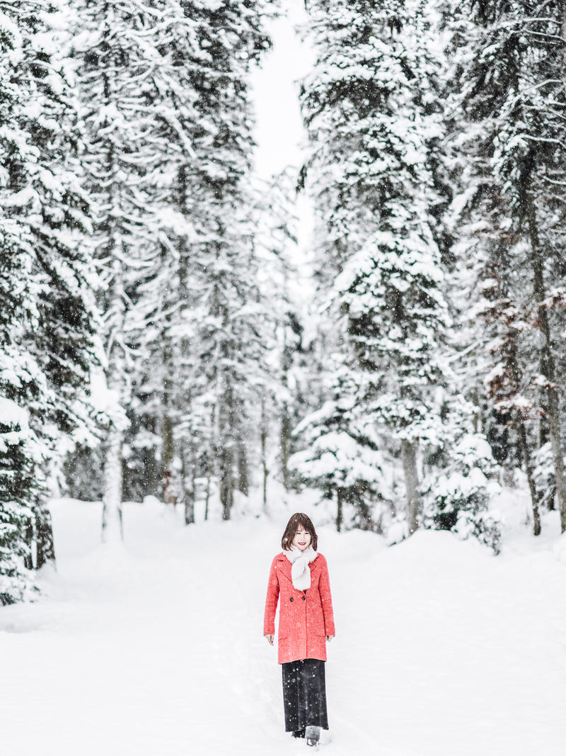 加拿大魁北克冰雪节,加拿大艾伯塔省节
