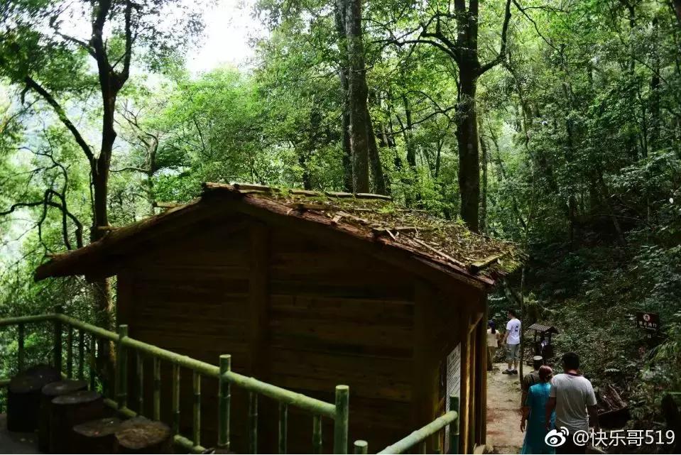 成都坐动车直达这片原始秘境!深幽峡谷、云海奇观、罕见古村…带你逃离夏天!