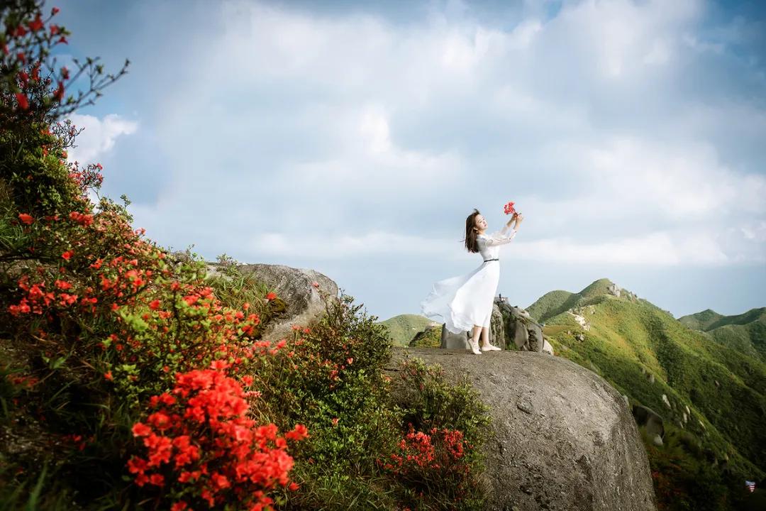 人不可太尽水不可太清,事不可太清人不可太精