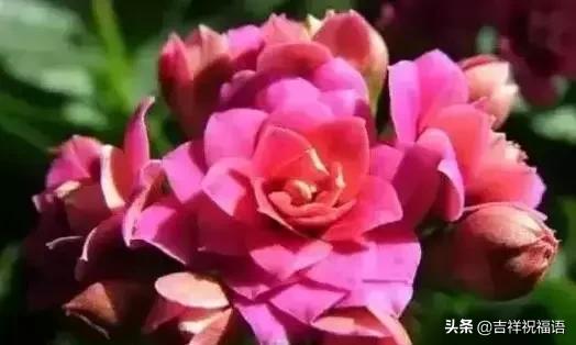 父亲节送给父亲什么礼物最好,父亲节一首好听的歌送给父亲