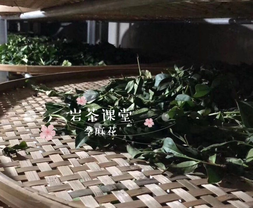 武夷岩茶大红袍茶叶如何冲泡,武夷岩茶大红袍的正确冲泡方法