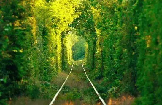 造景如何看起来有层次,十个最好看的造景