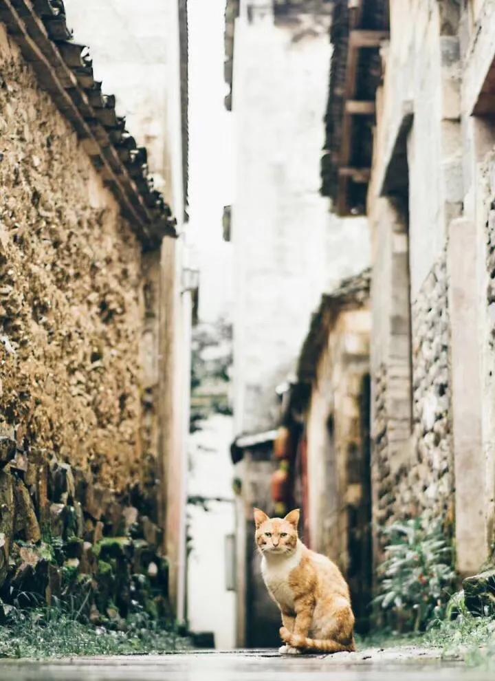 大美徽州宏村,世界最佳旅游乡村安徽宏村