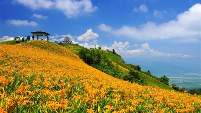 台湾东海岸攻略,台湾自由行旅游路线图攻略