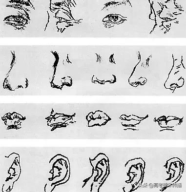 速写五官技法,速写五官的画法精讲