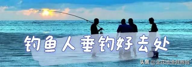 金花钓场,金花地钓鱼门票