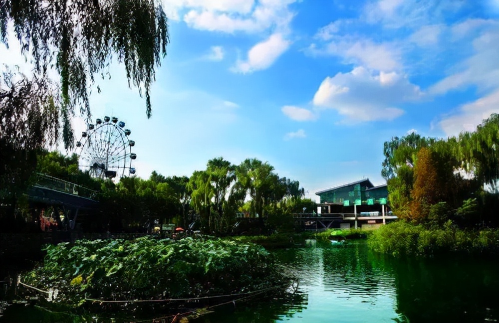 济南适合带娃去的公园,济南适合遛娃的景区