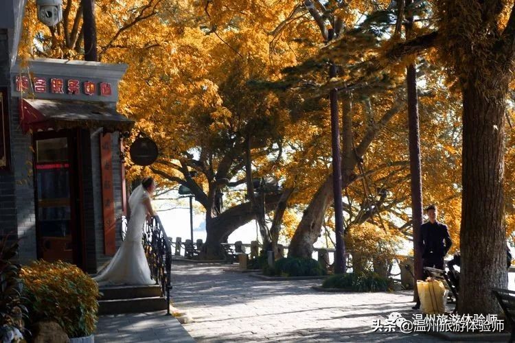 温州江心屿视频,游温州江心屿