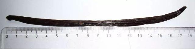 香草荚豆荚,香草荚顶级