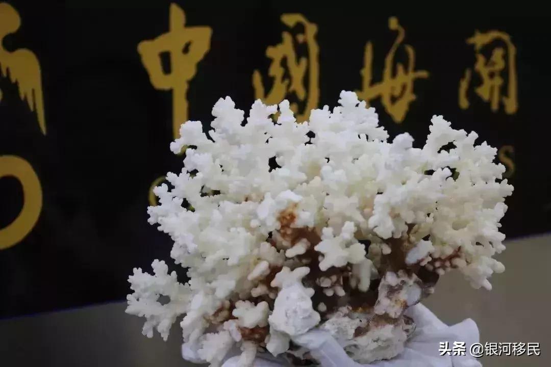 去香港要注意什么避免罚款,最新香港出入境禁带物品