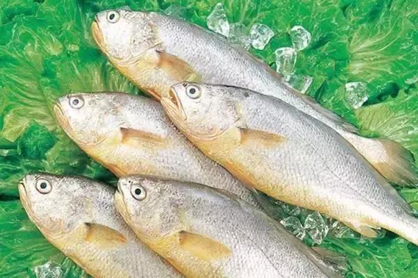 宁波一渔民整理海鲜大全,宁波最全的海鲜