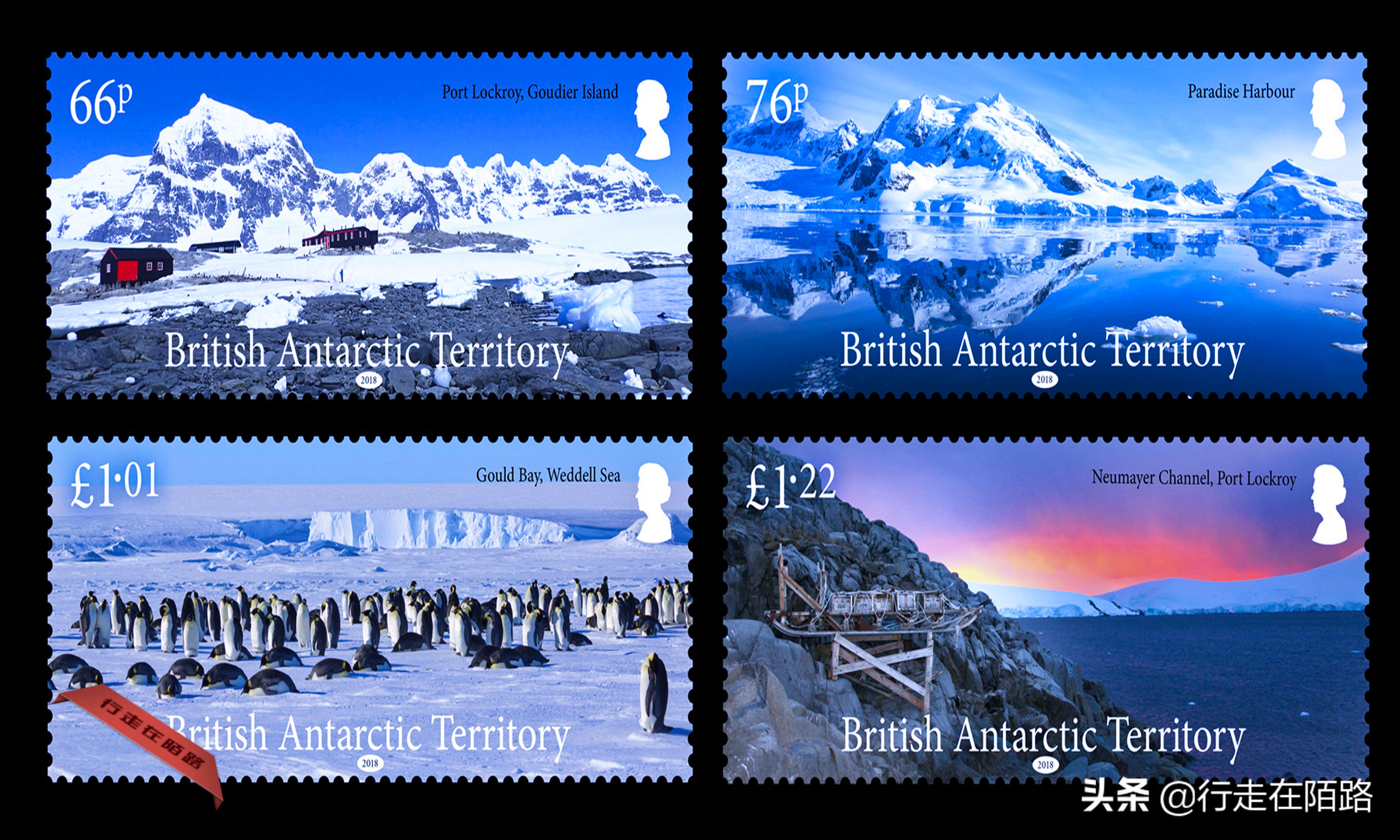 铲屎官的工资,铲屎官工资一天多少钱