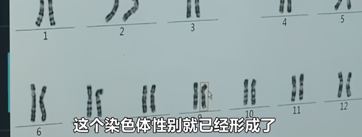 民间说的换胎药是真的吗,转性别的药