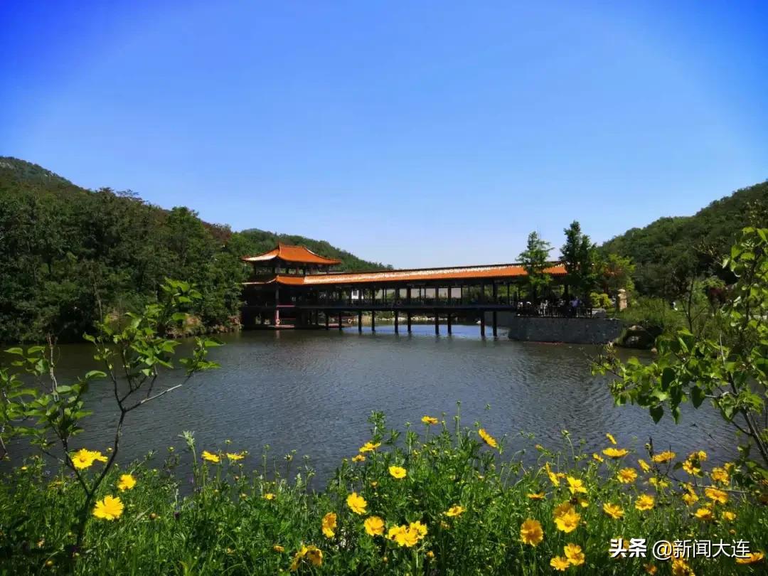 大连野餐必备,大连野餐推荐地点