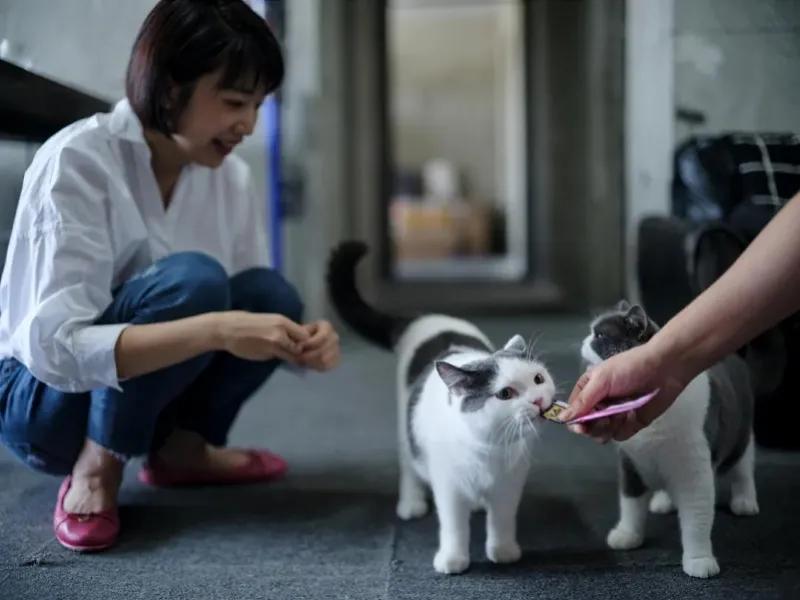 情侣住400平大平层,住大平层有多爽