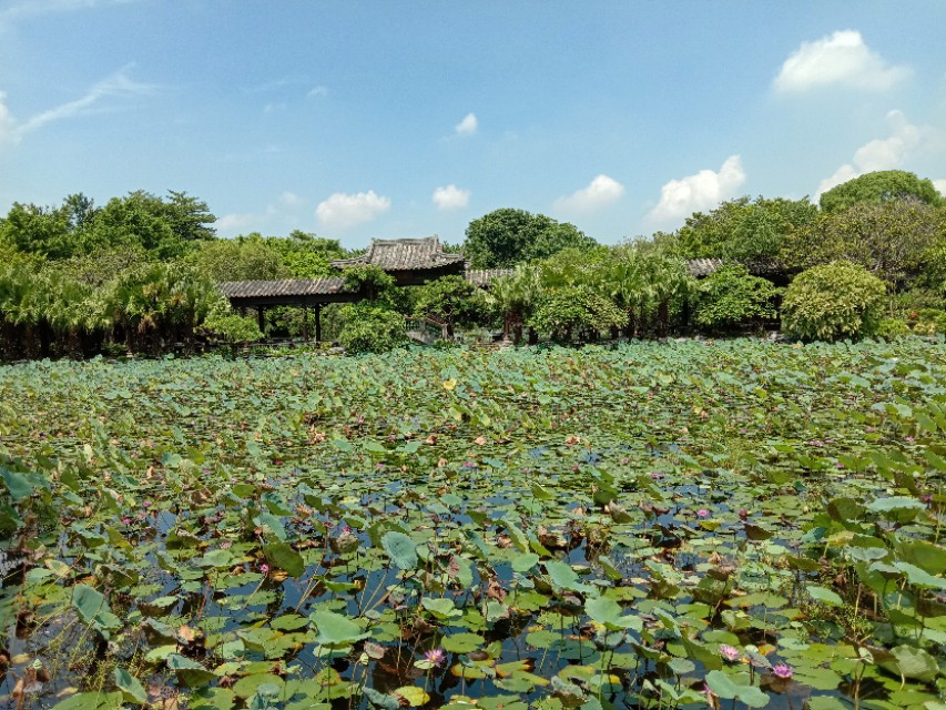 清静是自救的良方,清静自救的最佳方法
