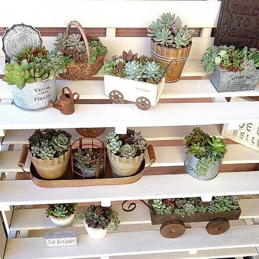 家居收纳日本主妇收纳秘笈大公开,日本主妇如何收纳冰箱蔬菜