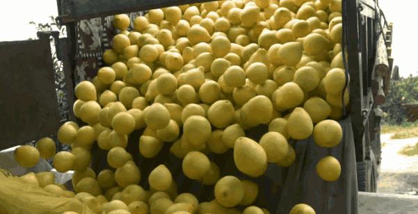 “大爷,你的肠子怎么老往外掉?”