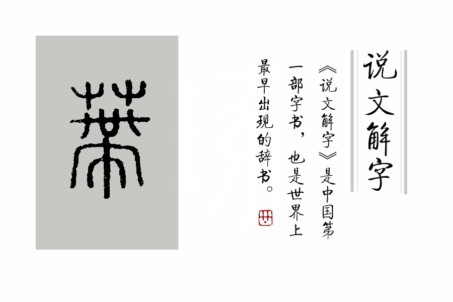 说文解字第0019集,说文解字第143课全集