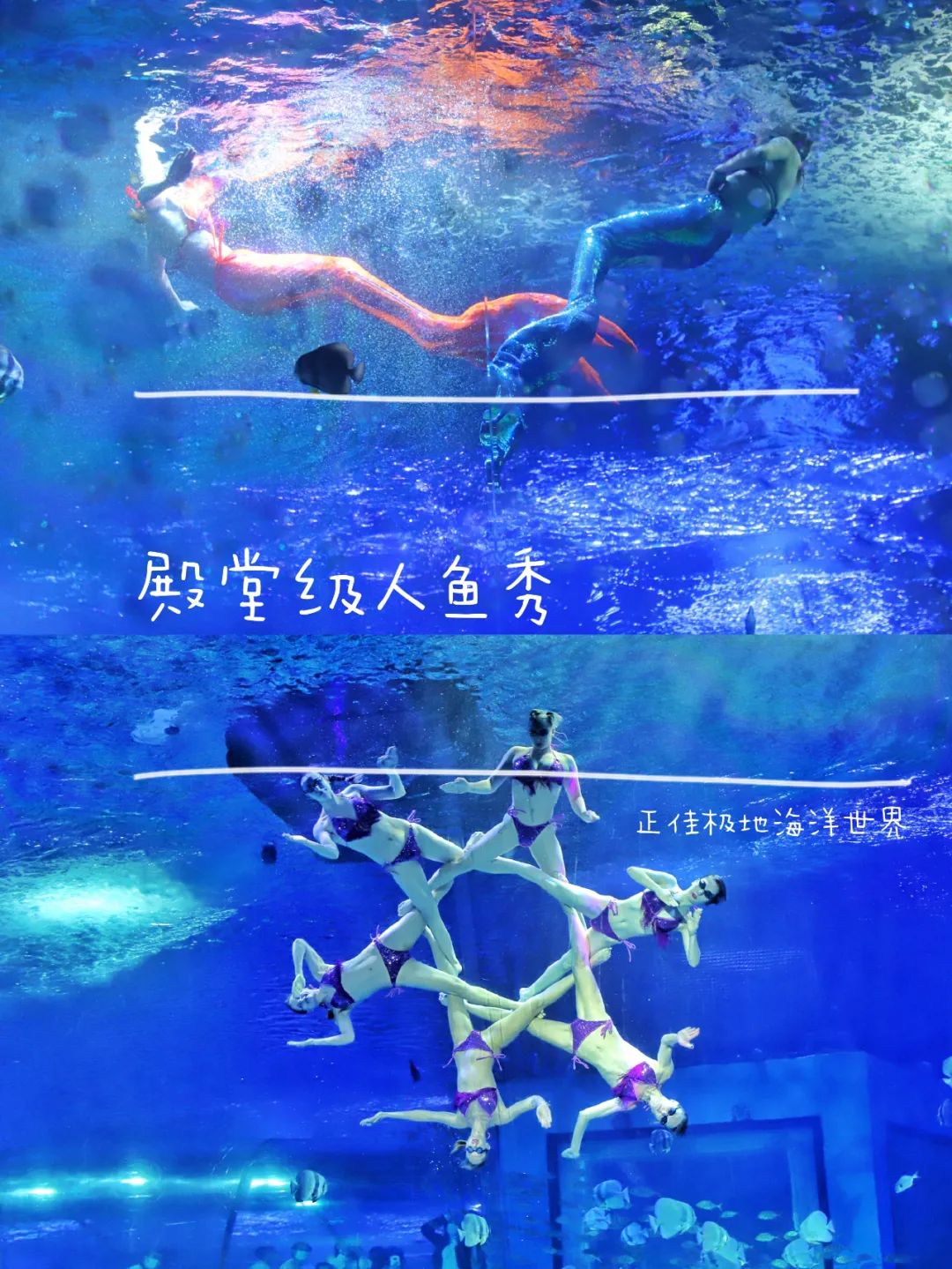 开启非凡住宿万豪旅享家,万豪旅享家万物皆可串