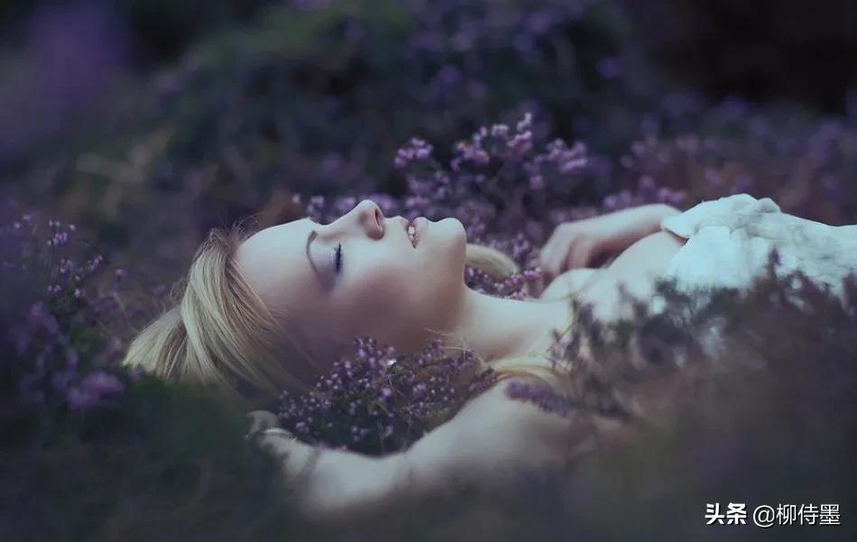 拍摄熏衣草的摄影技巧,薰衣草摄影教程