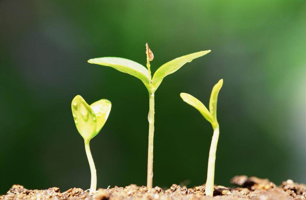 丈夫得了肺炎住院,老公感染肺炎住院