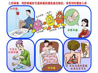 乙肝患者在生活中如何注意,怎样预防乙肝知识讲座