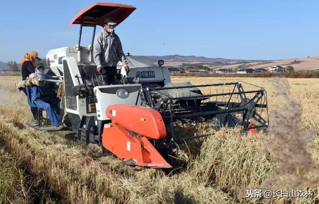 延边改革开放40周年变迁,延吉改革开放变化