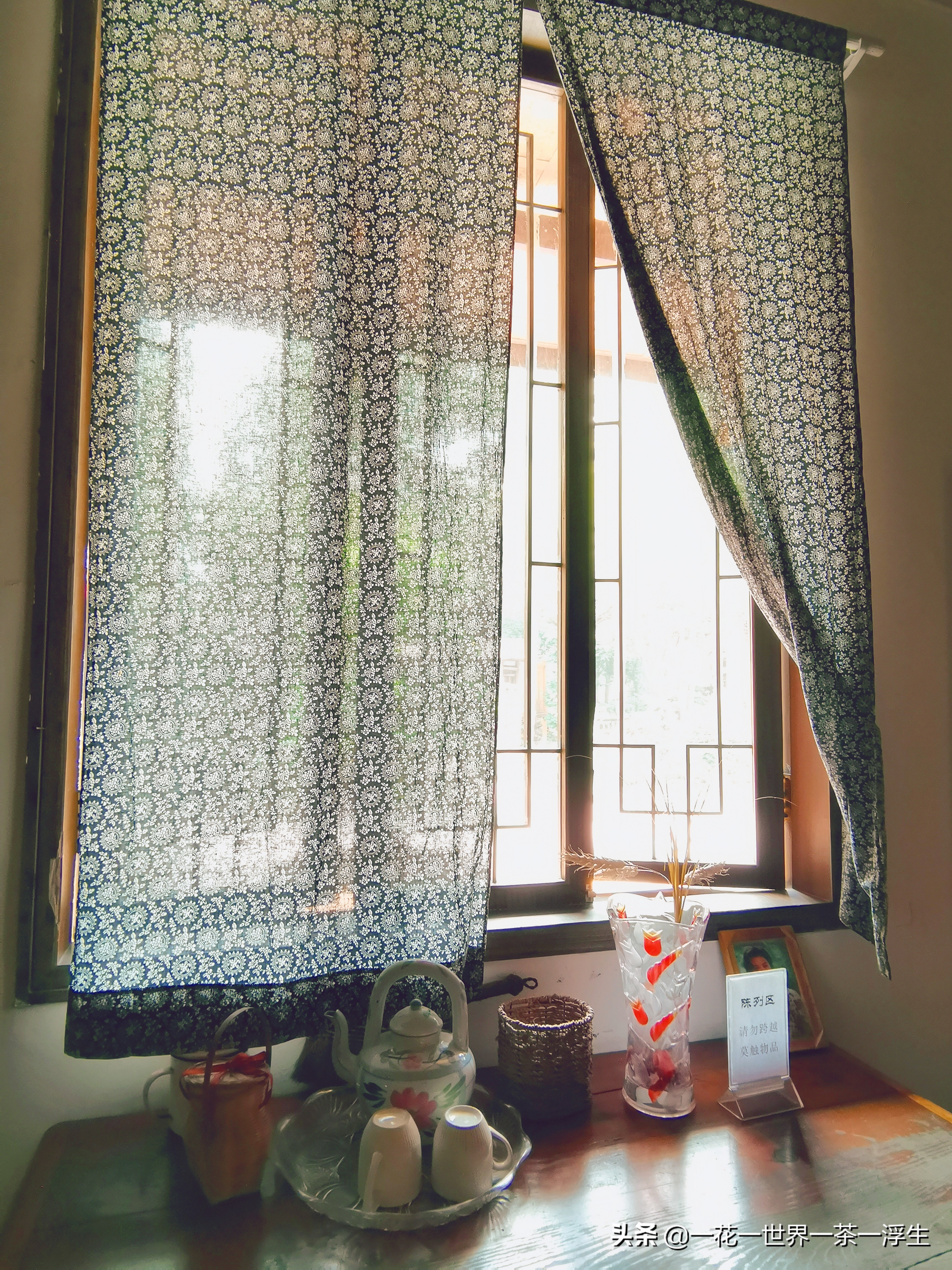 寻找巴适的成都小院（2）