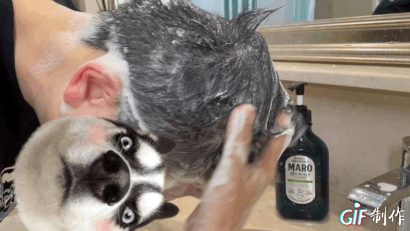 秋季，男士要从头说起！全部产品不过百元，十分钟打理教程