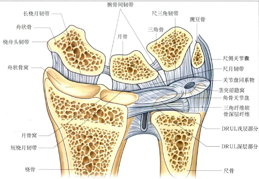 腕部三角纤维软骨损伤怎么办,腕部三角纤维软骨损伤形成原因