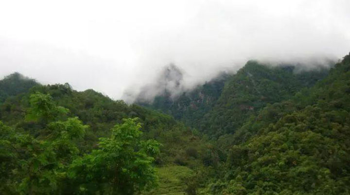 勐库十八寨茶区图,勐库茶十八寨排名