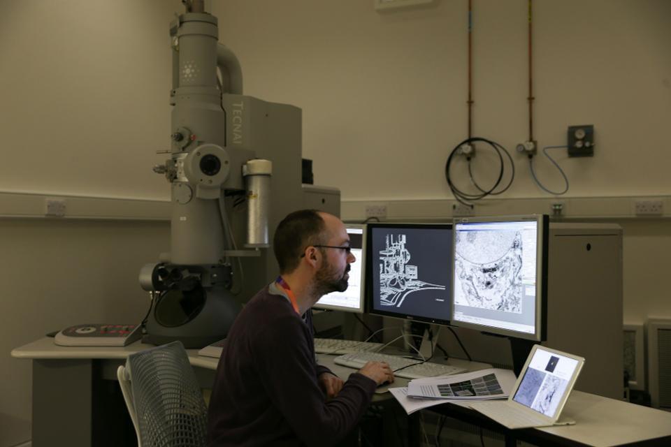 宏观世界与微观世界的同一性,宏观世界微观生活