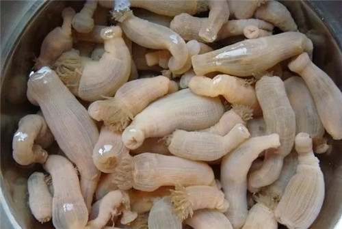 沙蒜吃多了有什么坏处,吃沙蒜的好处和坏处