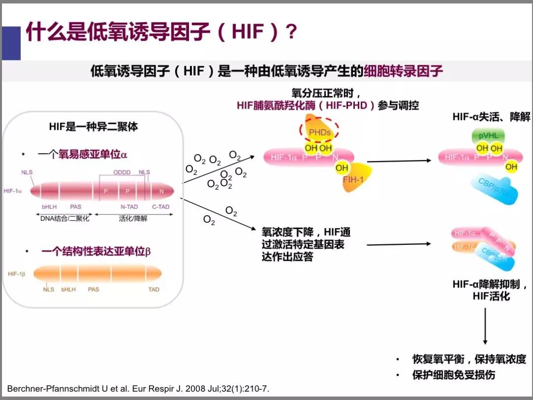 诺贝尔医学奖癌症免疫,诺贝尔医学奖肾病