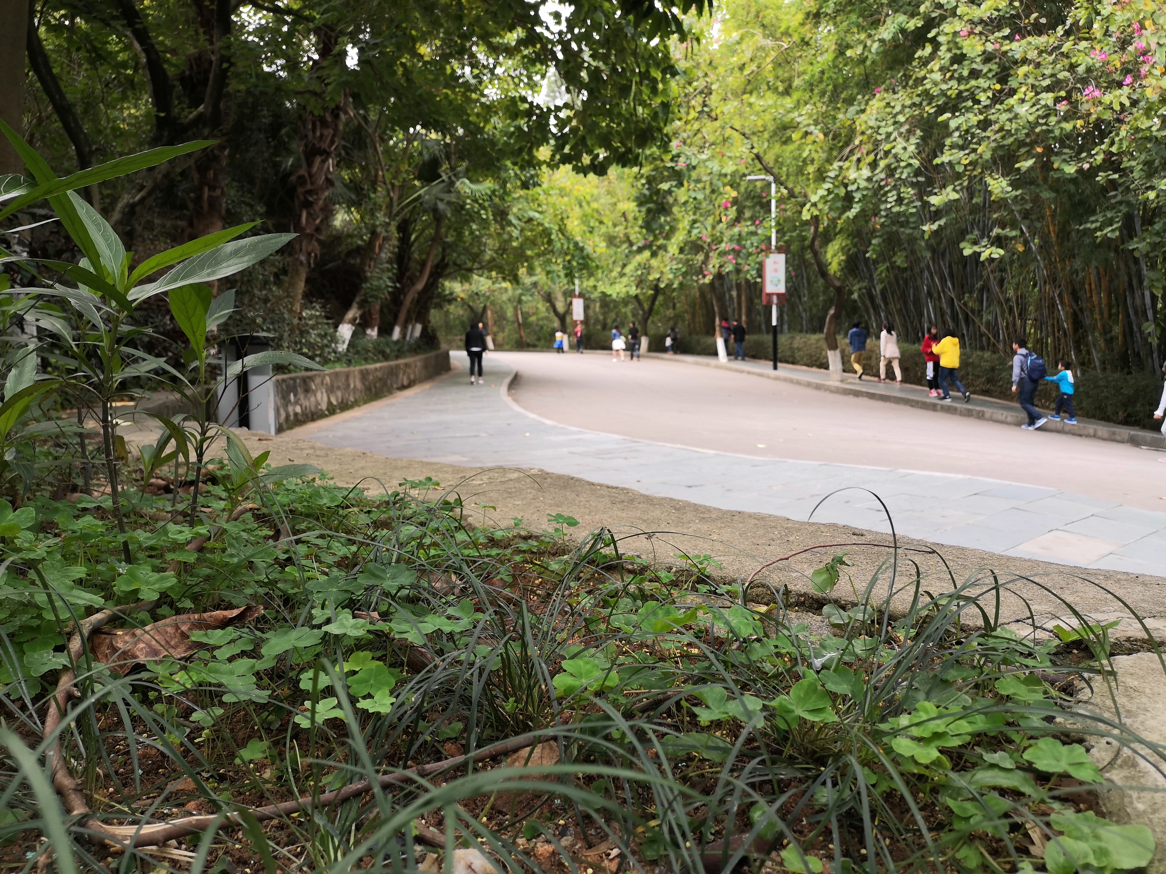 东莞水濂山森林公园爬山要不要钱,东莞水濂山森林公园可以爬山吗