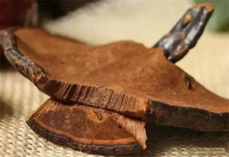 野生灵芝和人工种植灵芝差别大吗,野生灵芝与人工种植功效一样吗