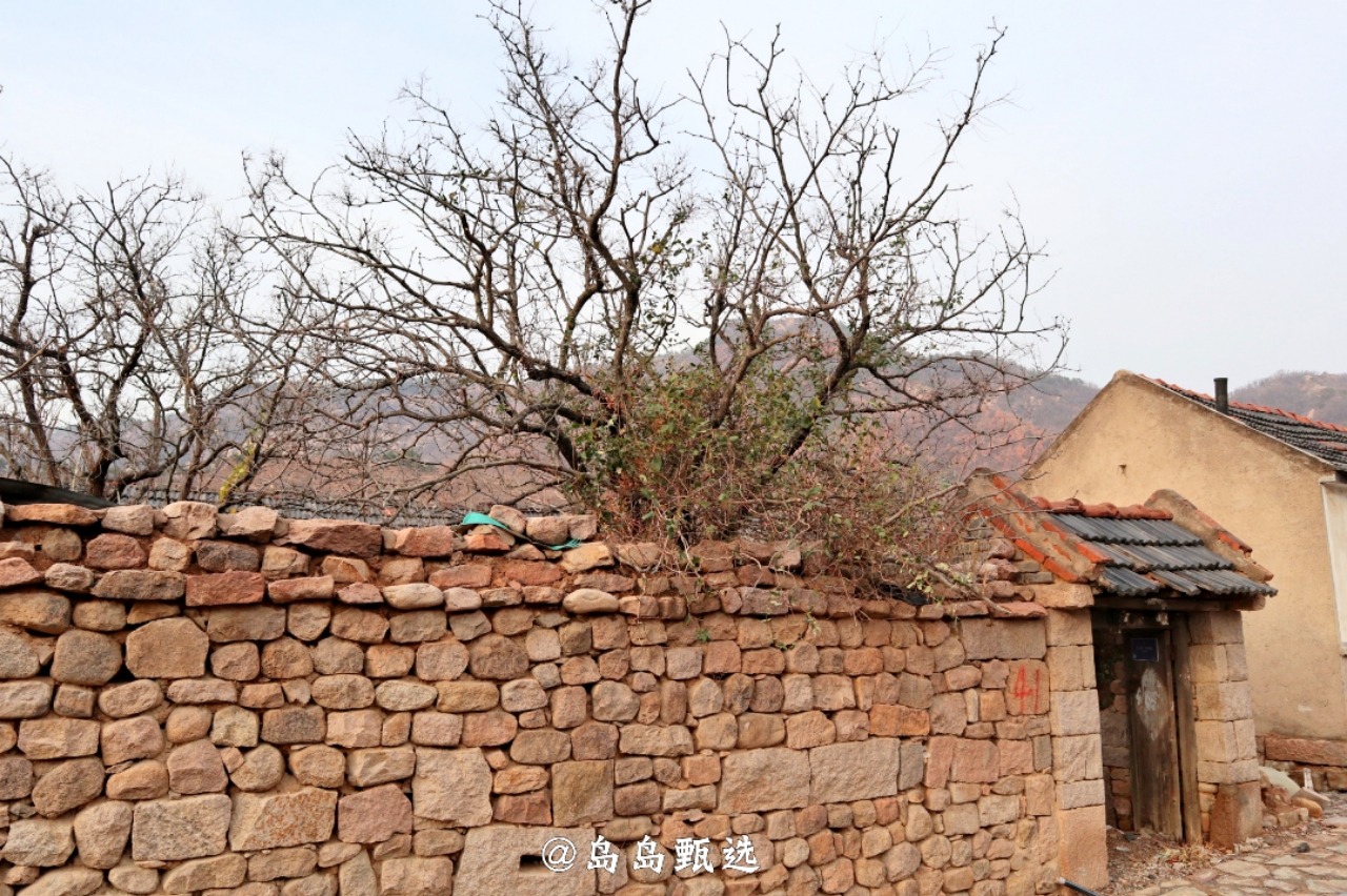 远离城市休闲的好地方,青岛郊区小众好去处
