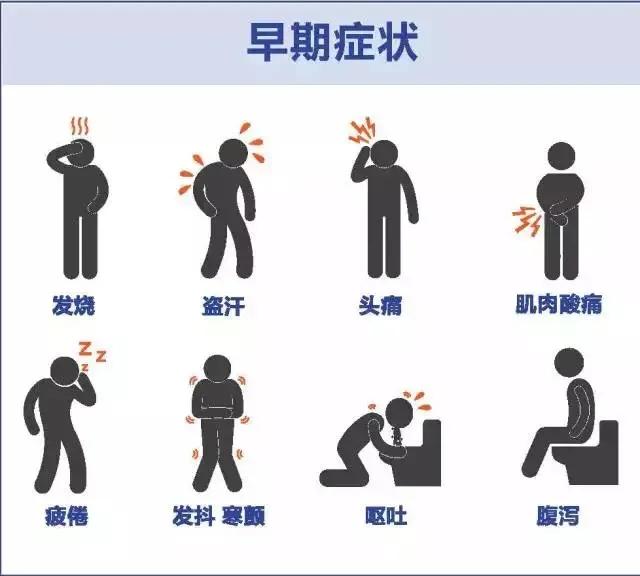 最强科普防蚊知识,从专业角度解读最全灭蚊方案